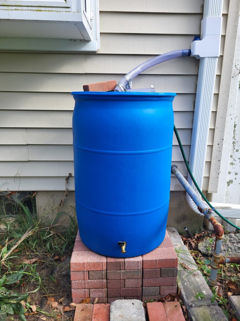 Rain barrel.