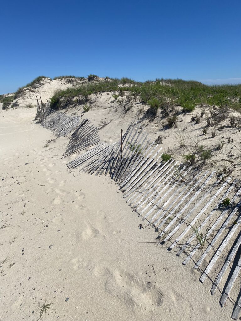 Sand dunes with fence.